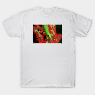 Lizard / Swiss Artwork Photography T-Shirt